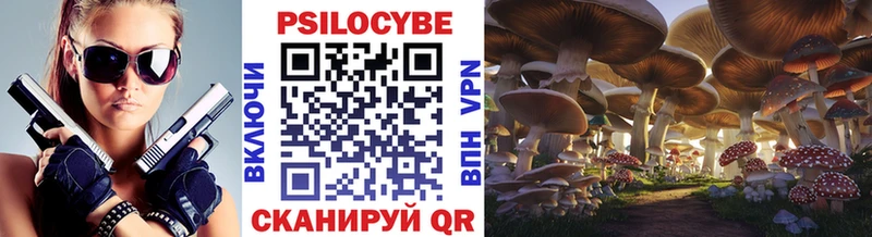 Псилоцибиновые грибы Cubensis  Ртищево 