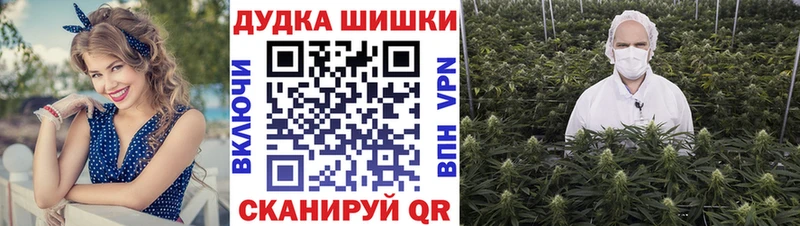Бошки Шишки планчик  наркота  Ртищево 